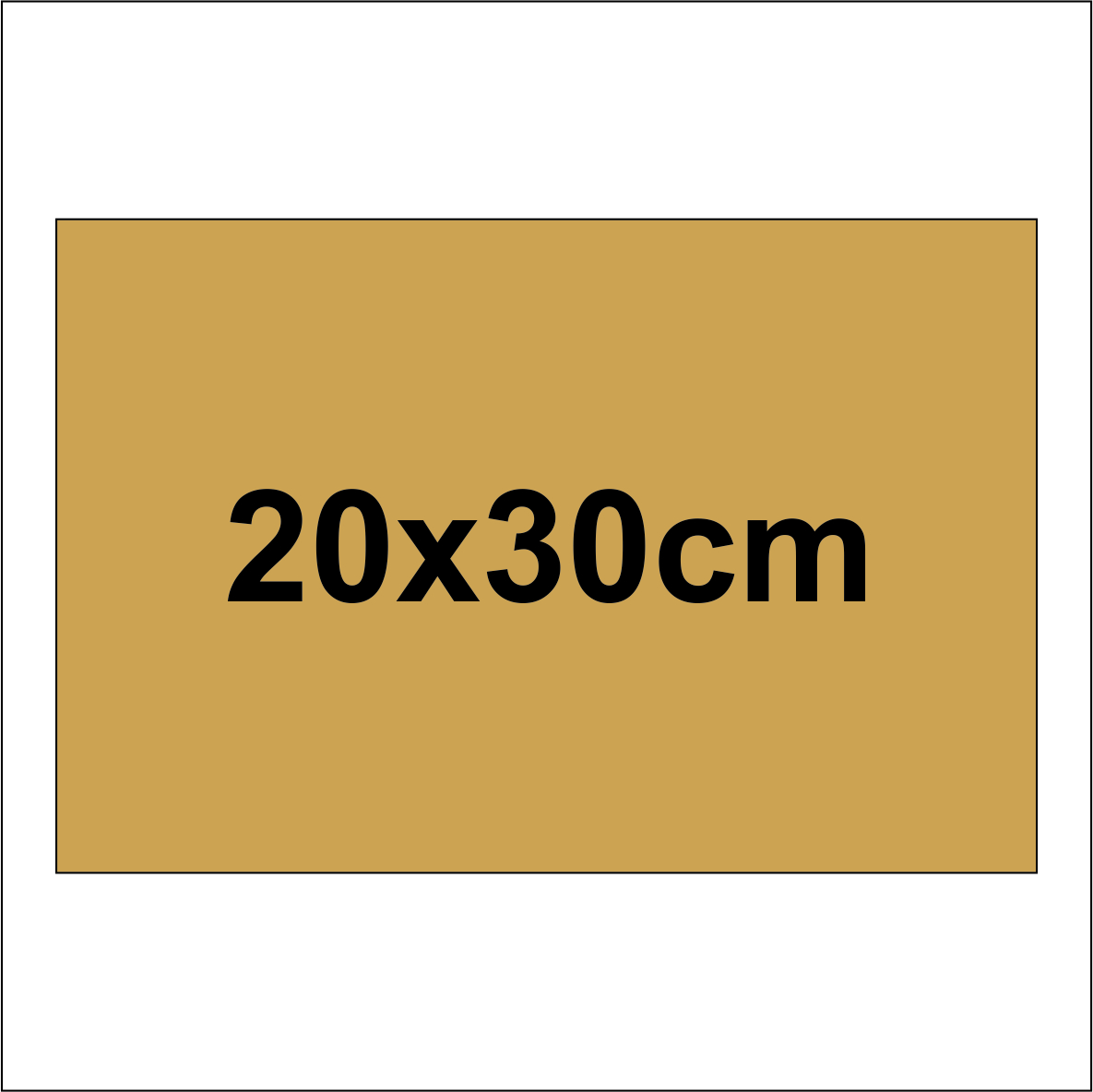 Placuta ABS gravata 20x30cm