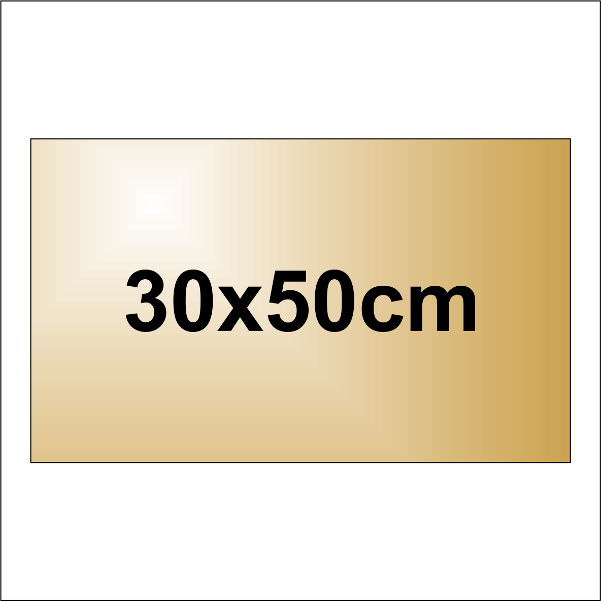 Placuta din alama cu email in gravura 30x50cm